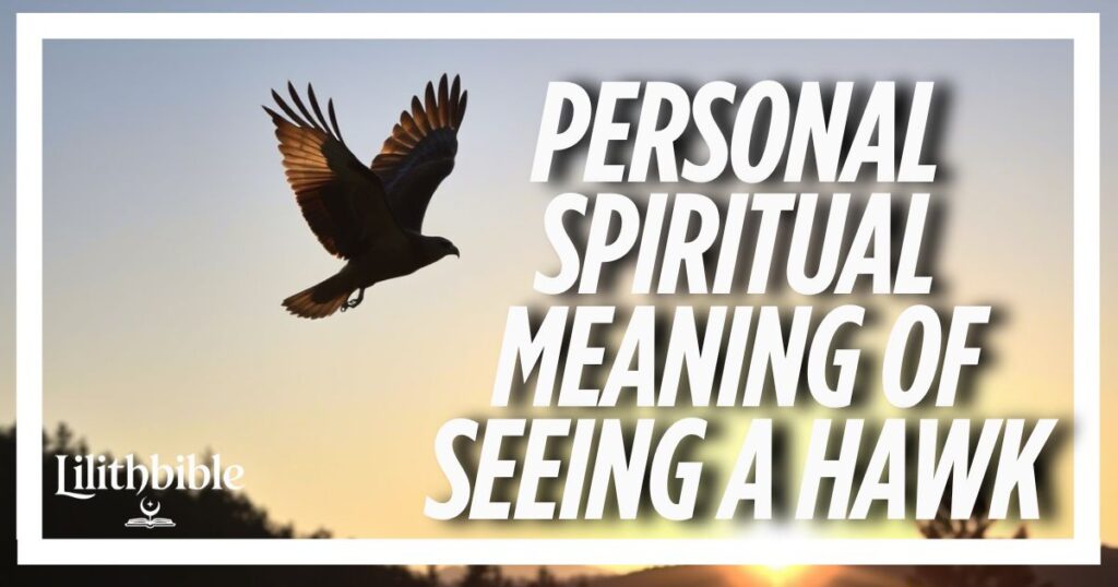Personal Spiritual Meaning of Seeing a Hawk